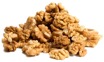 عکس دوربری شده مغز گردو