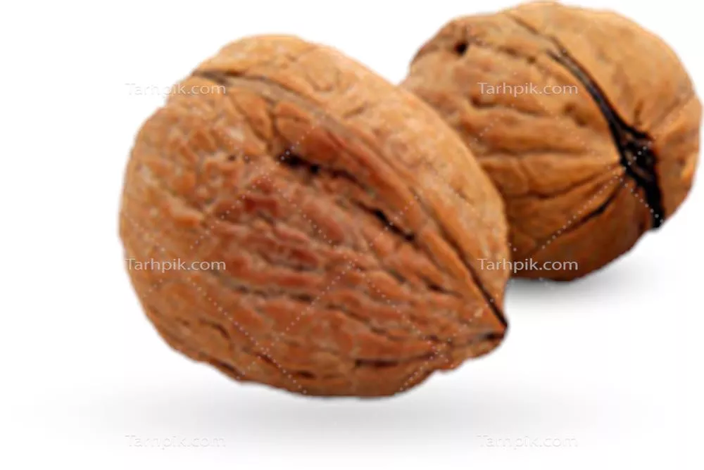 عکس گردو دوربری شده