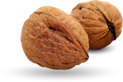 عکس گردو دوربری شده