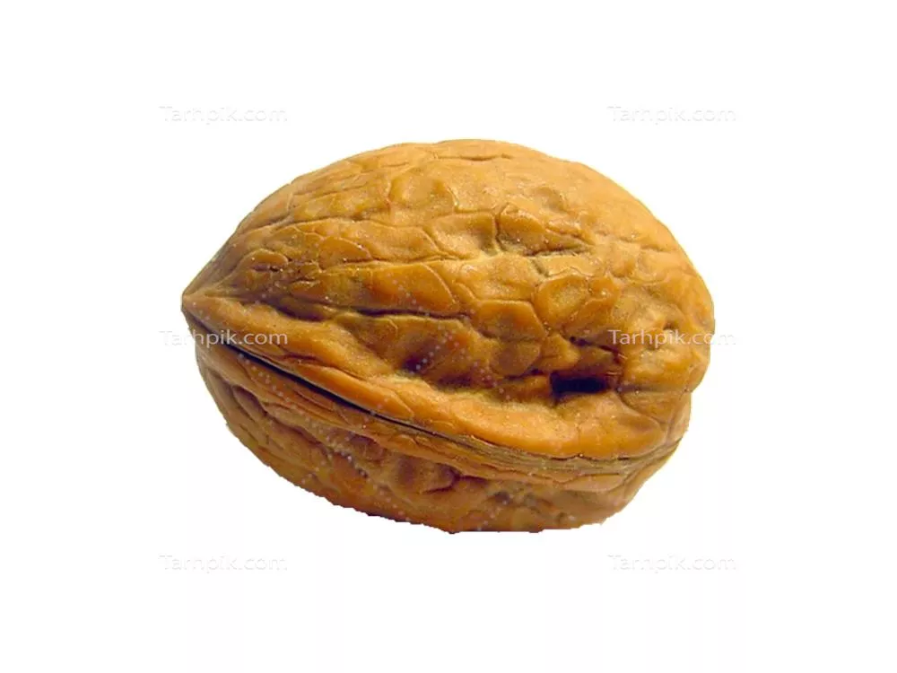 عکس دوربری شده یک عدد گردو