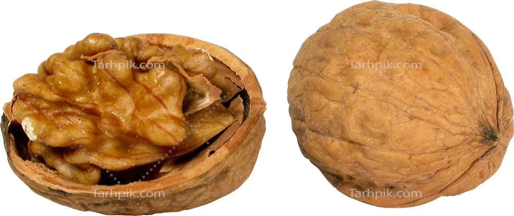 عکس دوربری گردو بسته و شکسته
