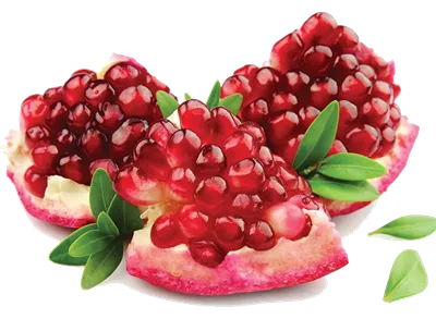 عکس دوربری نقاشی انار