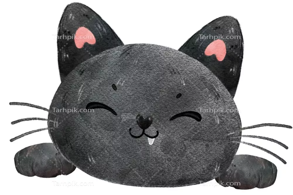 سایر تصاویر