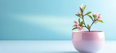 تصویر زمینه گلدان گل صورتی روی پس زمینه آبی