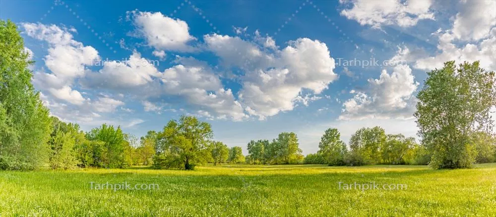 تصویر زمینه طبیعت حیرت انگیز روستایی با علفزار سرسبز و آسمان آبی