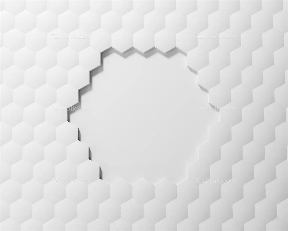 سایر تصاویر