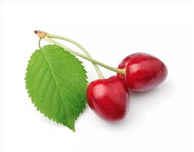 عکس میوه های گیلاس شیرین