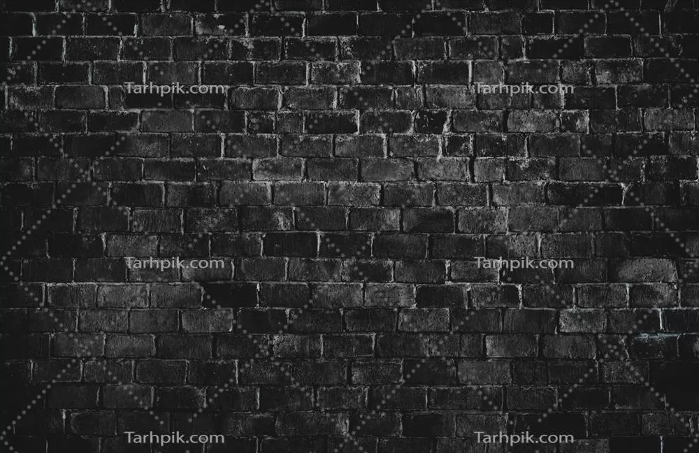 سایر تصاویر