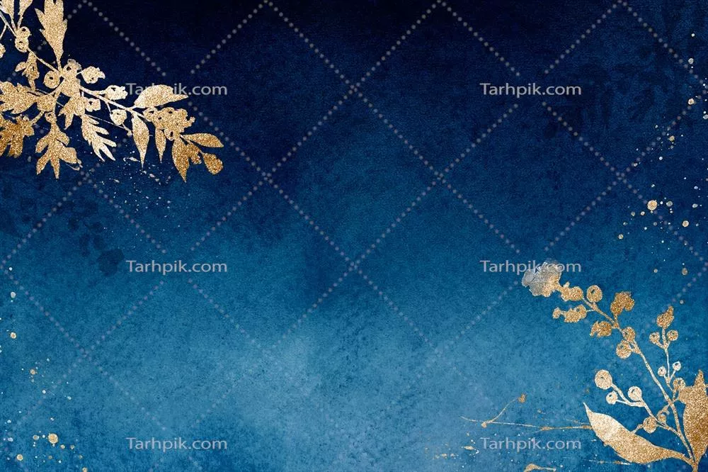 سایر تصاویر