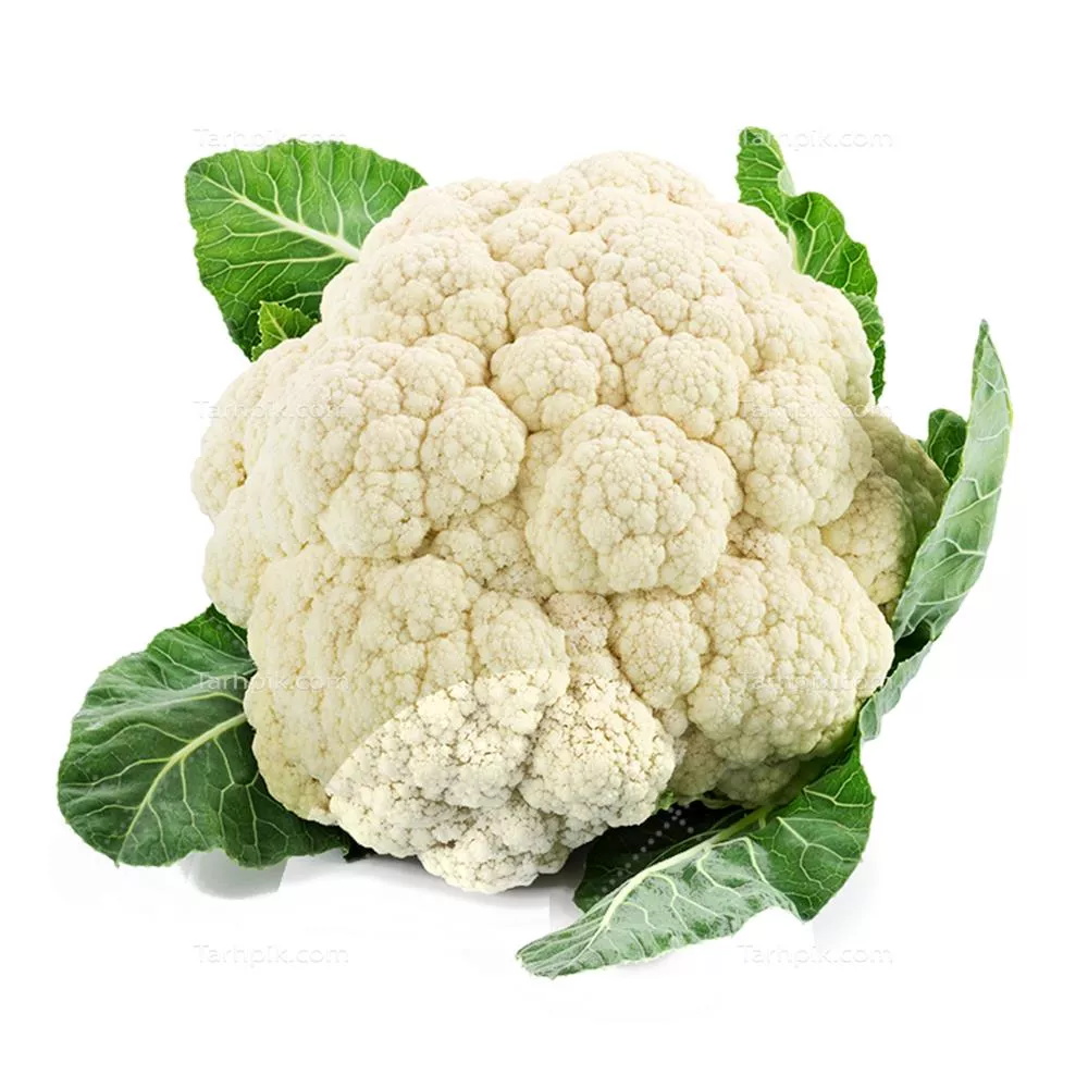 عکس دوربری گل کلم