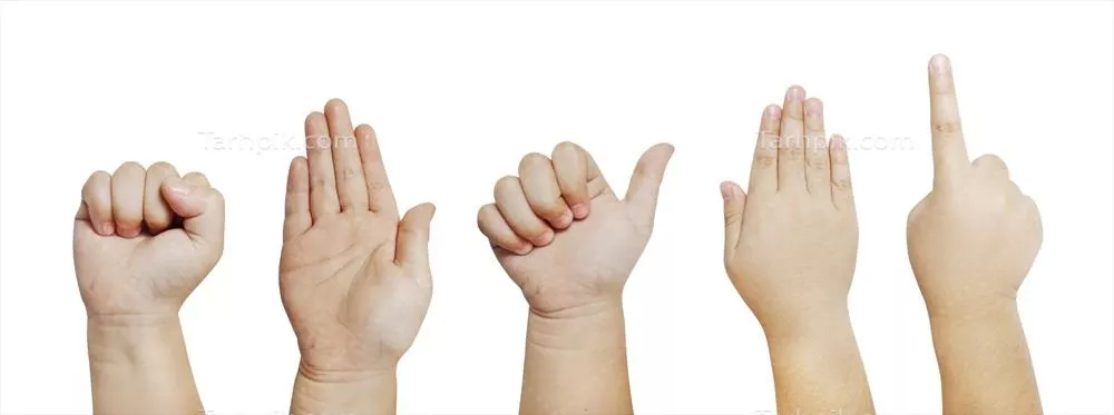 عکس انواع حالت های دست