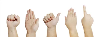 عکس انواع حالت های دست
