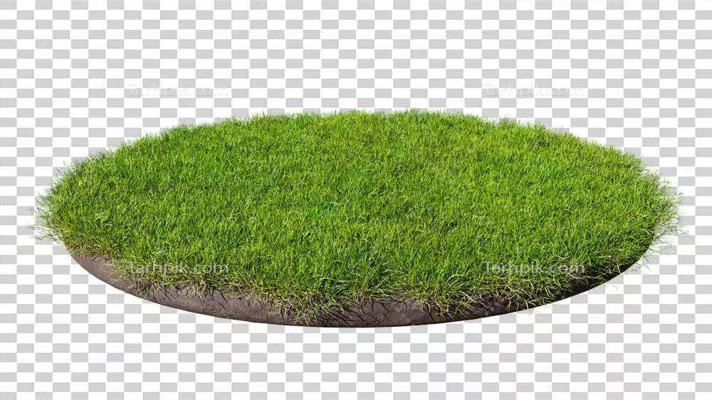 سایر تصاویر