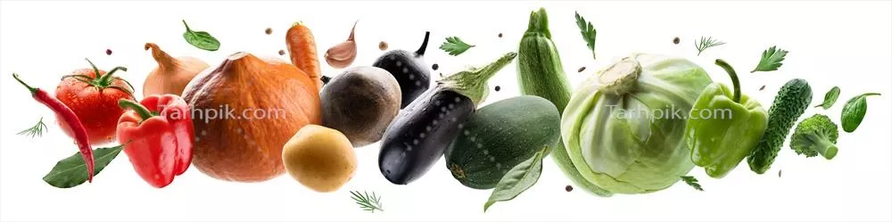 عکس مجموعه ای بزرگ از سبزیجات