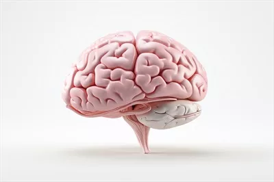 عکس مغز انسان روی پسزمینه سفید ساخته شده با هوش مصنوعی