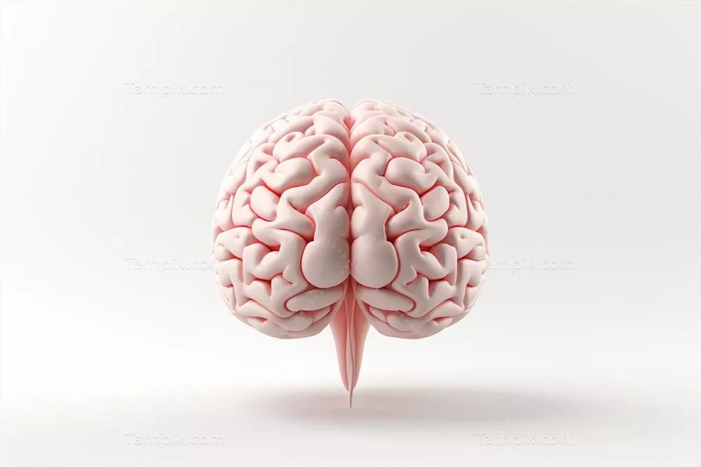 عکس مغز انسان ساخته شده با Ai