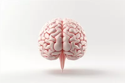 عکس مغز انسان ساخته شده با Ai