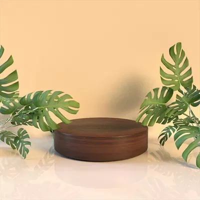 عکس سکوی معرفی با تم گرمسیری