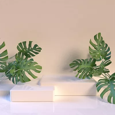 عکس سکوی معرفی محصول گرمسیری