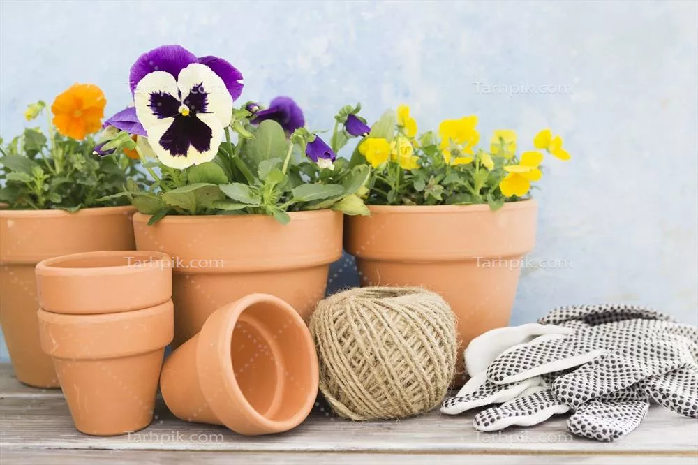 عکس مجموعه گلدان های سفالی