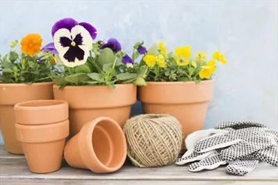 عکس مجموعه گلدان های سفالی