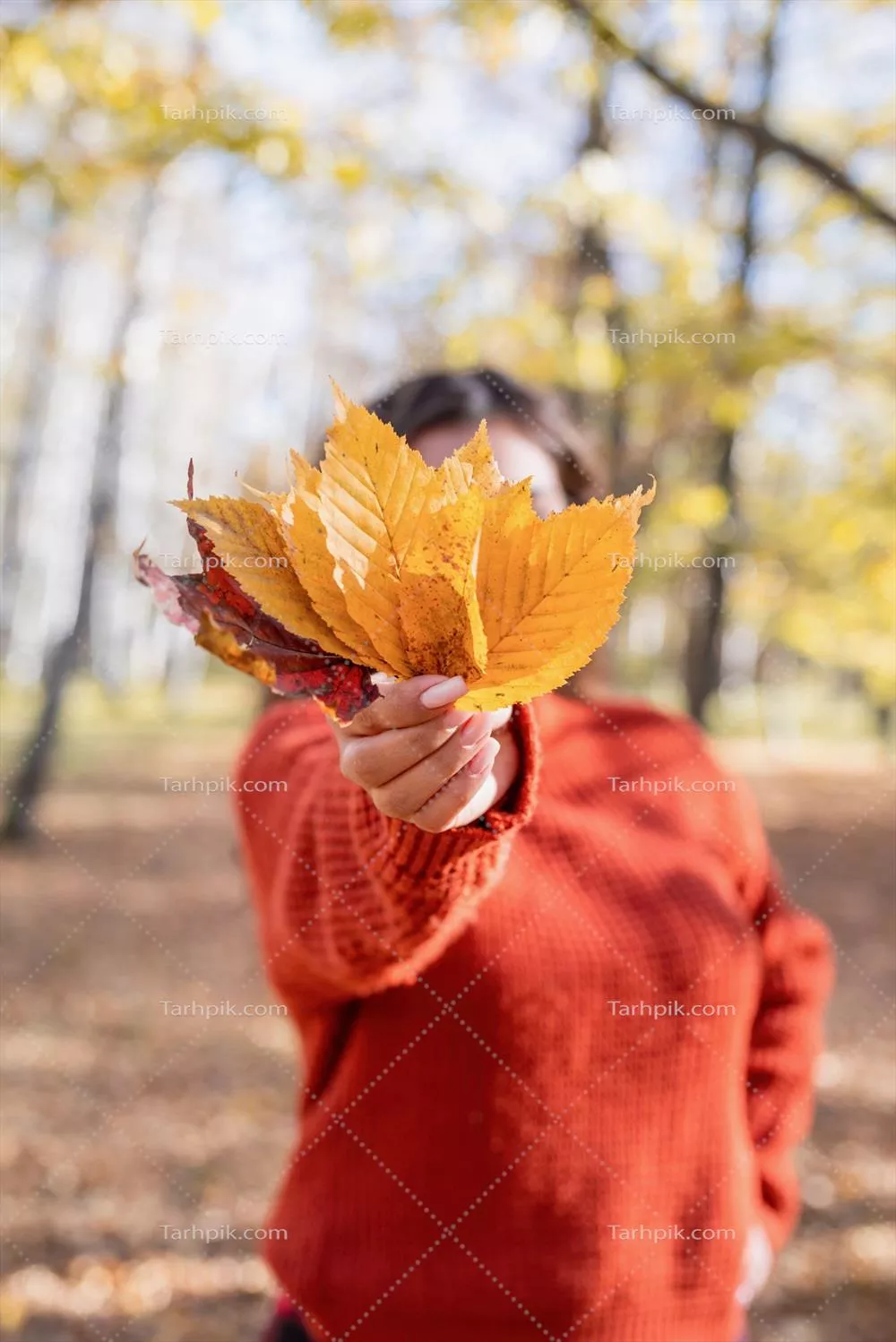 عکس ژست زن با برگ پاییزی در جنگل