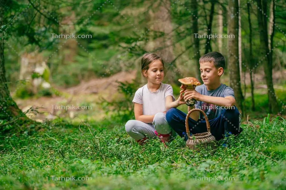 عکس دختر بچه و پسر بچه در جنگل با قارچ جنگلی در دست