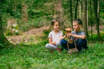 عکس دختر بچه و پسر بچه در جنگل با قارچ جنگلی در دست