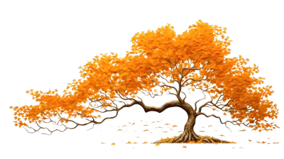 عکس دوربری درخت پاییزی