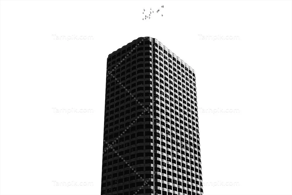 سایر تصاویر