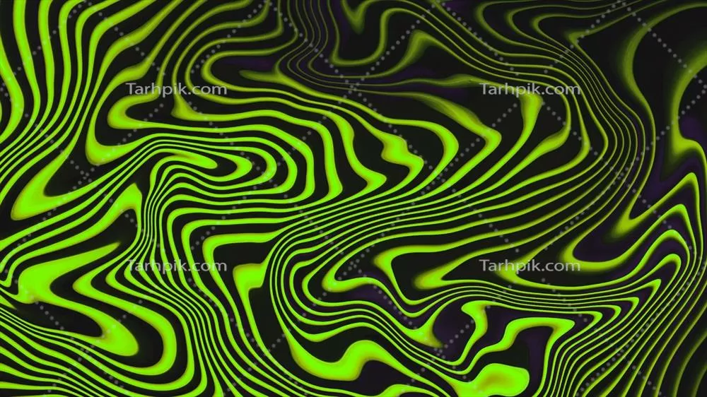 سایر تصاویر