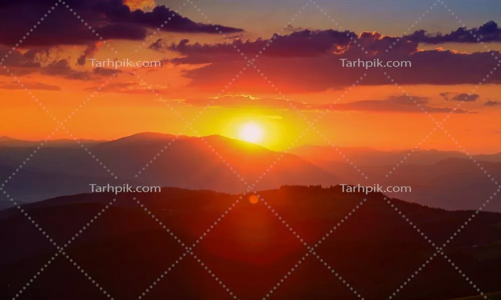 سایر تصاویر