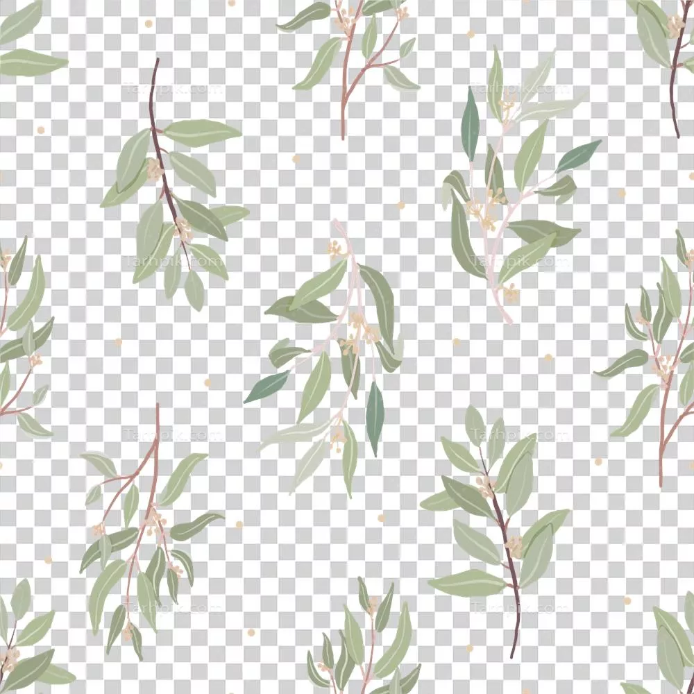 عکس دوربری الگوی برگ های اکالیپتوس پترن