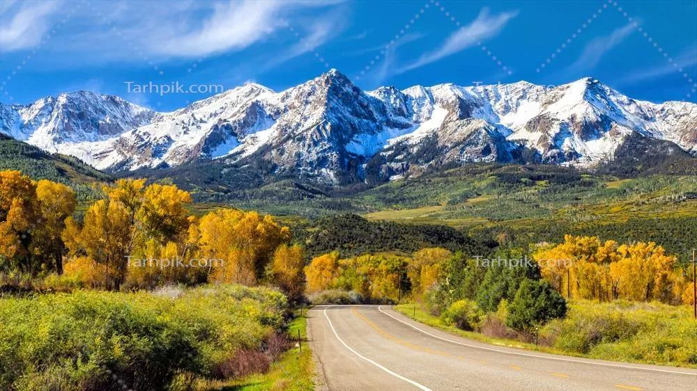 عکس جاده در میان درختان با نمای کوه