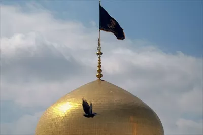 عکس گنبد حرم حضرت رضا علیه السلام