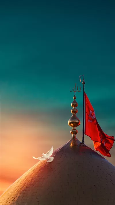 عکس گنبد حرم امام حسین و کبوتر و پرچم