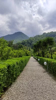 عکس مسیر زیبای ورودی خونه ویلایی باغ