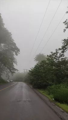 عکس جاده ی بارونی جنگل گلستان