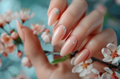 عکس شکوفه های درخت در دست با ناخن های لاک زده شده