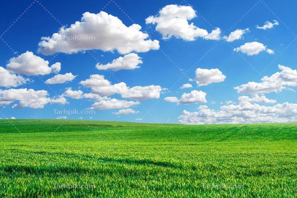 عکس چشم انداز زیبای دشت سرسبز با آسمان آبی و ابرهای پراکنده
