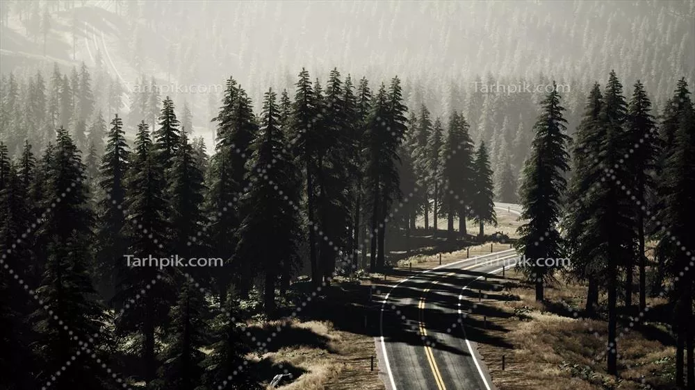 عکس جاده ای پیچ در پیچ در دل جنگل های انبوه و مه آلود