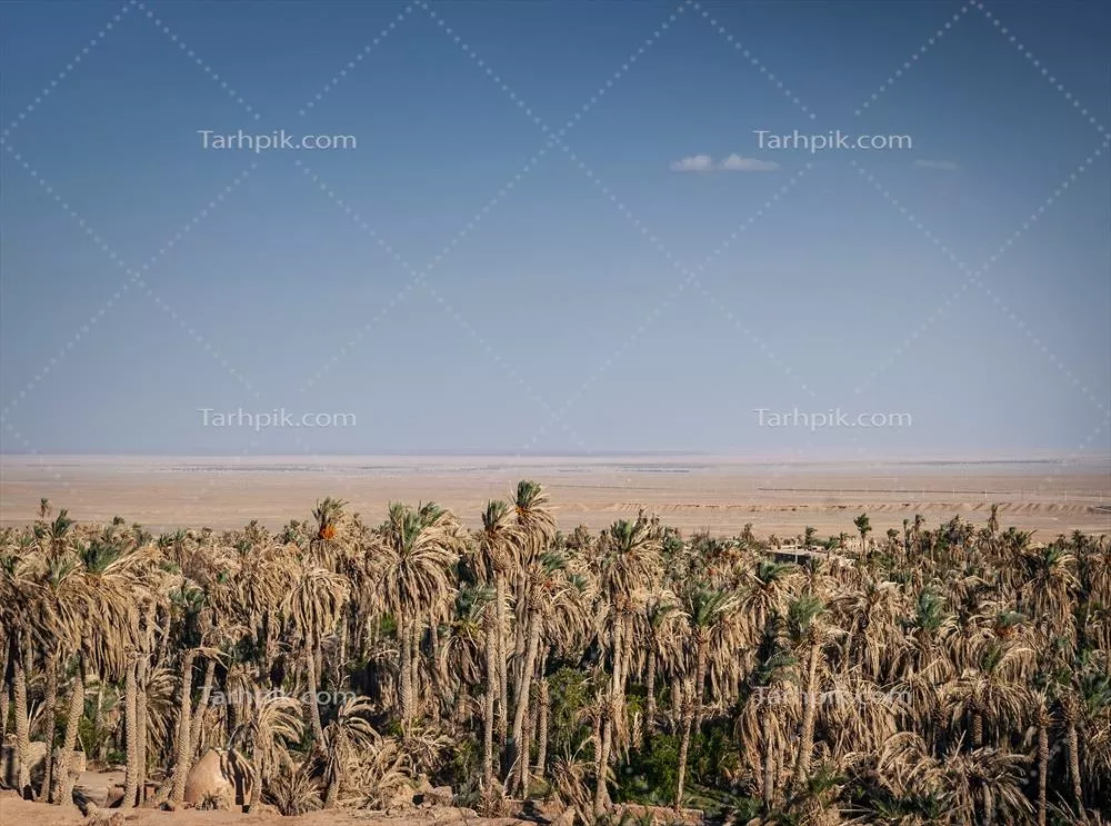 عکس منظره کویر در واحه گرمِه نزدیک یزد، زیبایی های طبیعی ایران