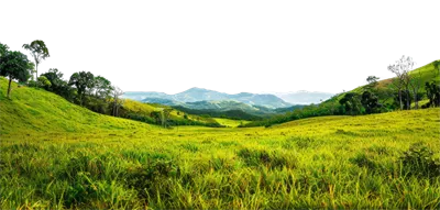 عکس دوربری تصویری زیبا از تپه های سبز و کوه های دوردست در پس زمینه ای شفاف