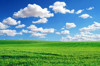 عکس چمنزاری وسیع در پس زمینه با آسمانی آبی و ابرهای نرم