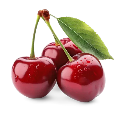 عکس دوربری تصویری زیبا از گیلاس های رسیده و سالم با برگ های سبز در پس زمینه ای طبیعی