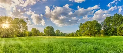 عکس منظره کوهستانی زیبا با دشت های سبز و گل های وحشی درخشان