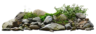 عکس دوربری باغ صخره ای آرام و زیبا با گیاهان متنوع و سنگ های طبیعی