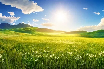 عکس منظره طبیعی از دشت سبز با طراحی هوش مصنوعی و زیبایی خیره کننده