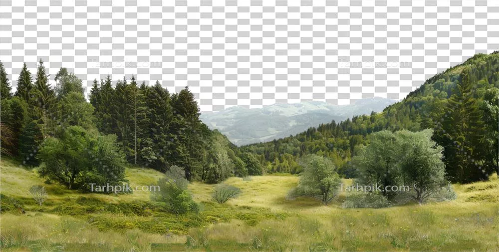 عکس دوربری تصویری زیبا از تپه های سبز و دشت های سرسبز در یک منظره روستایی آرام