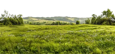 عکس دوربری منظره ای پانورامیک از دشت با درختان و تپه های زیبا